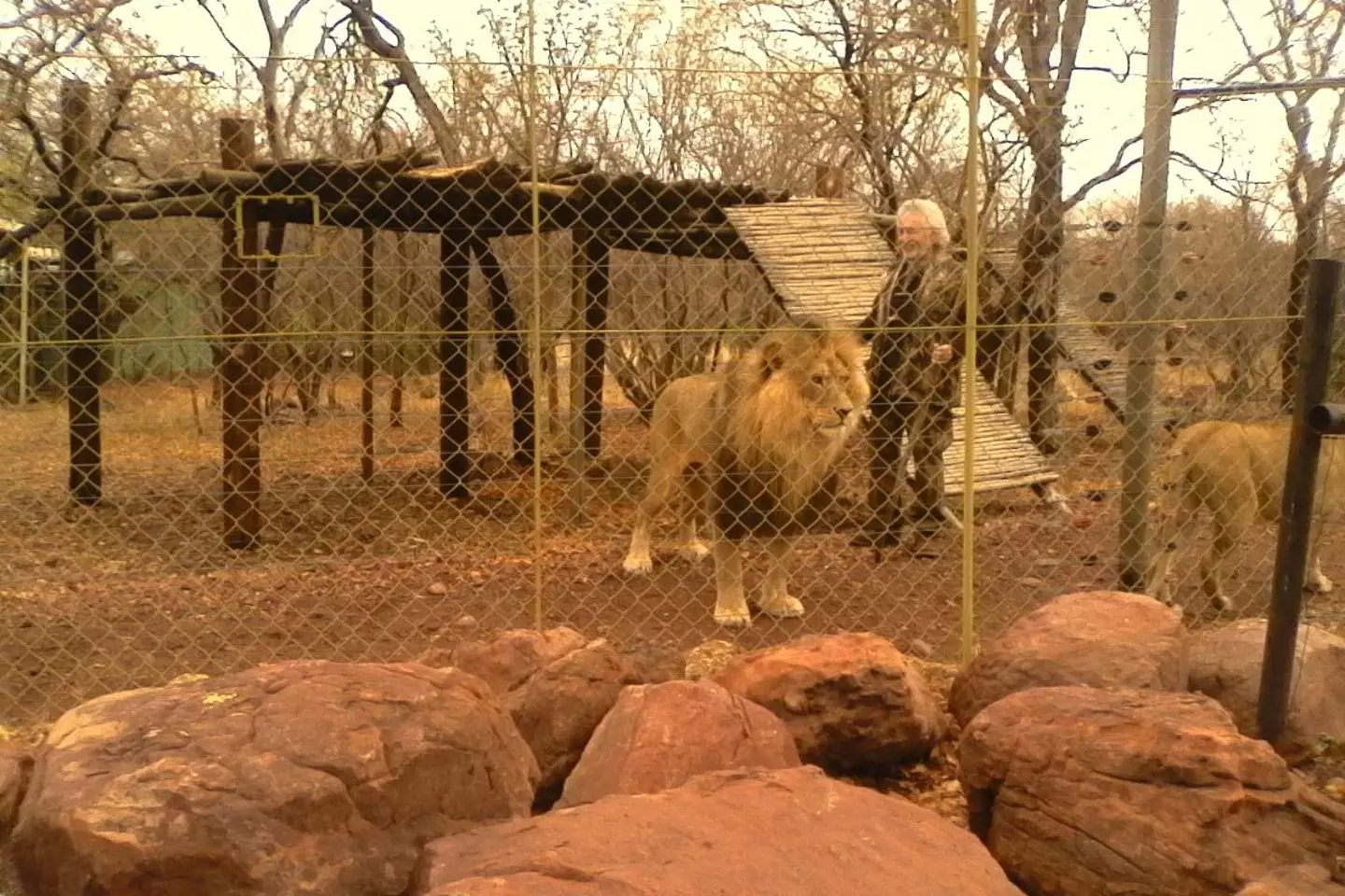 Leon van Biljon raised the cubs (Facebook/Mahala View Lodge)