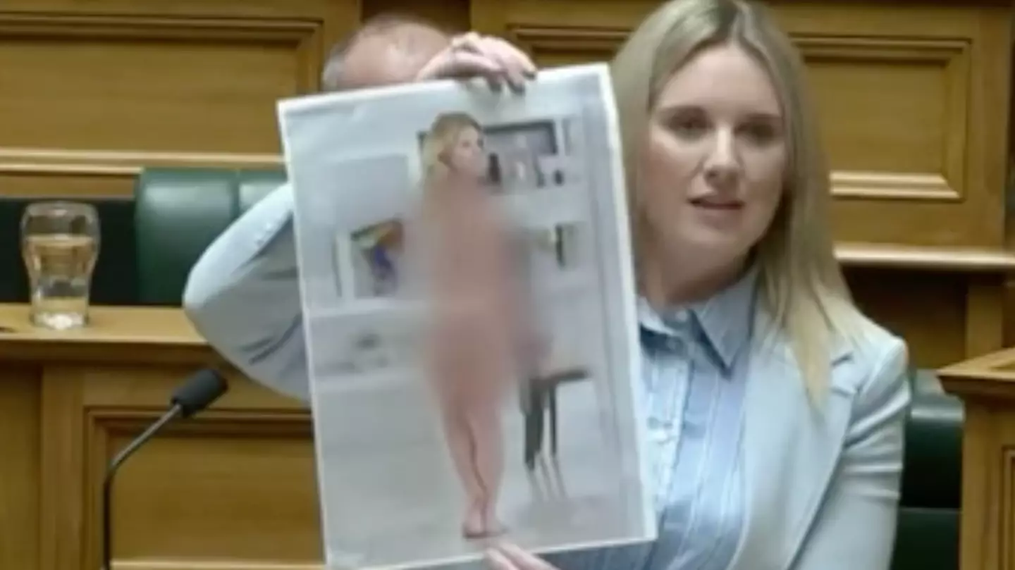 Why MP held up naked photo of herself in front of entire parliament