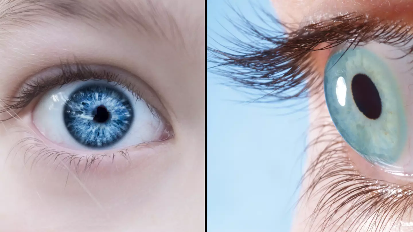 Every blue-eyed person on Earth is a descendant of one single human