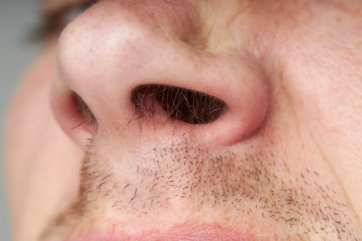 Sorry for the close up there. (Getty Stock Images)