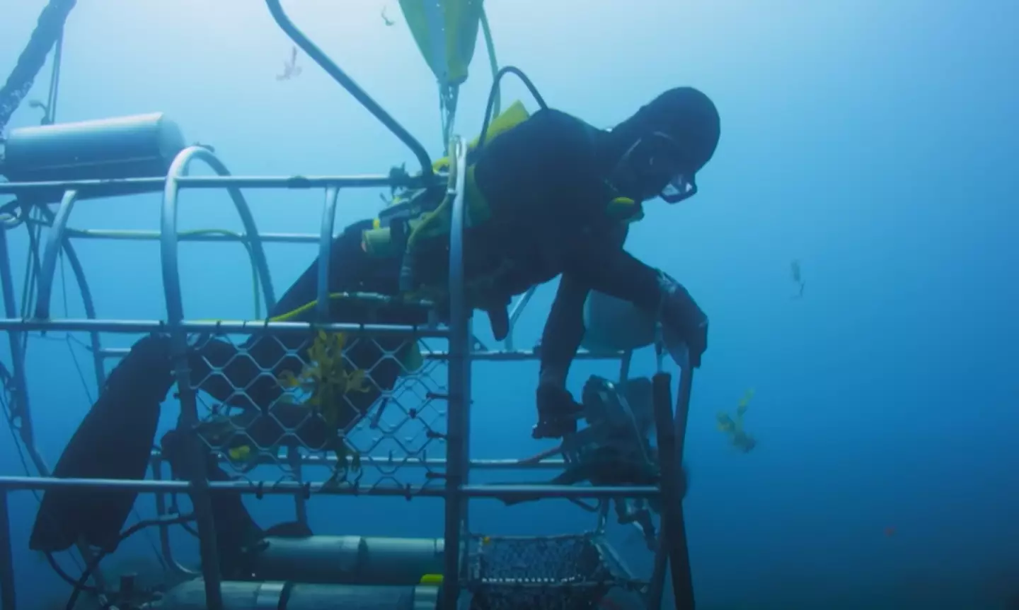 Do you think it's just luck?