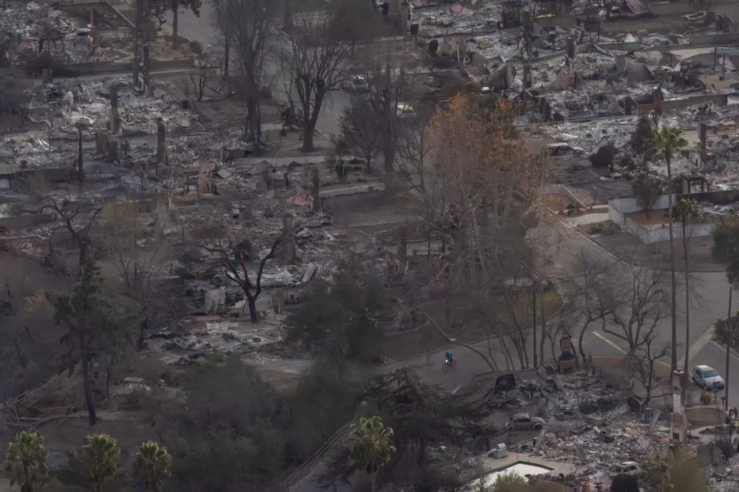 Properties destroyed by the Eaton Fire (David McNew/Getty Images)
