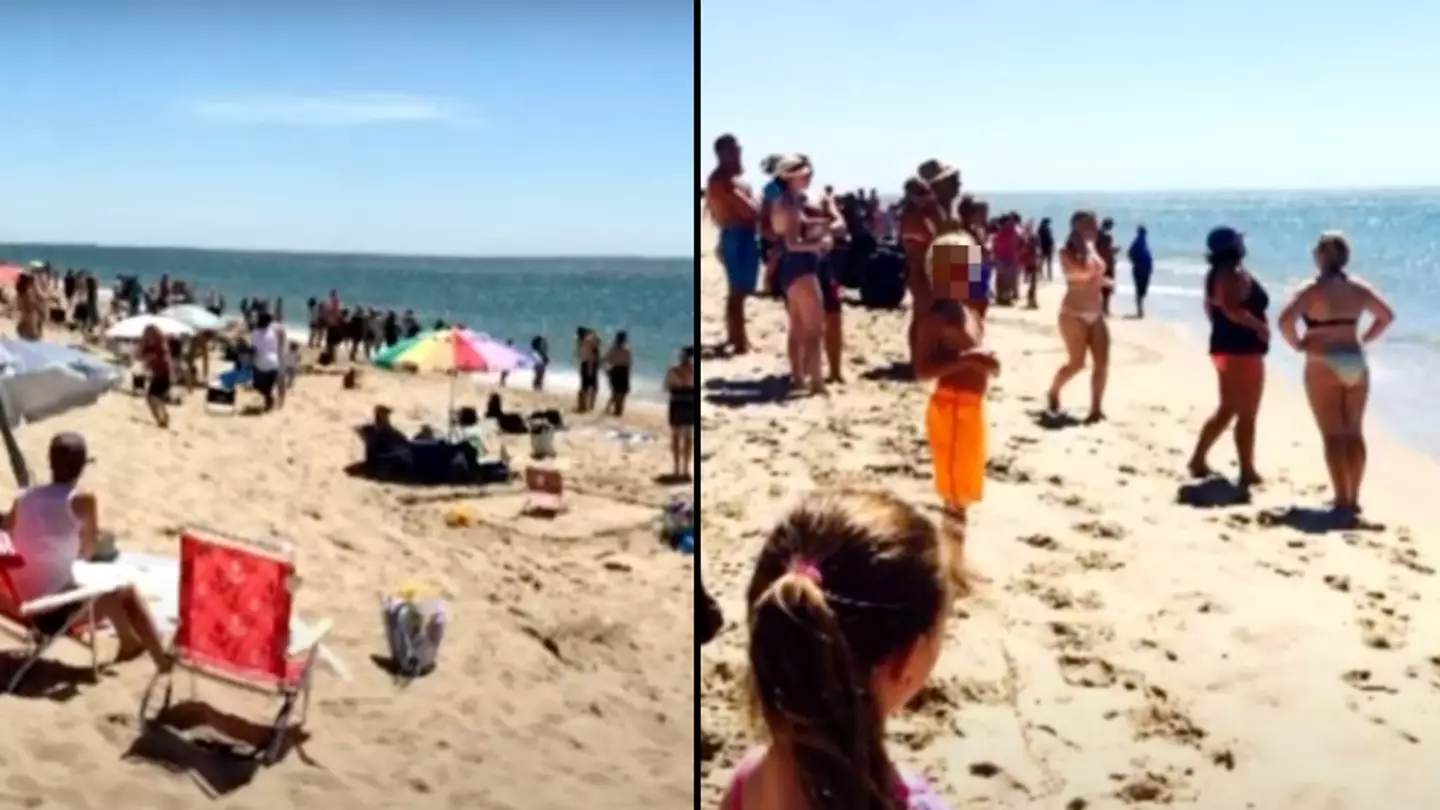 Lifeguard whistles in swimmers as huge shark is spotted at same location Jaws was filmed
