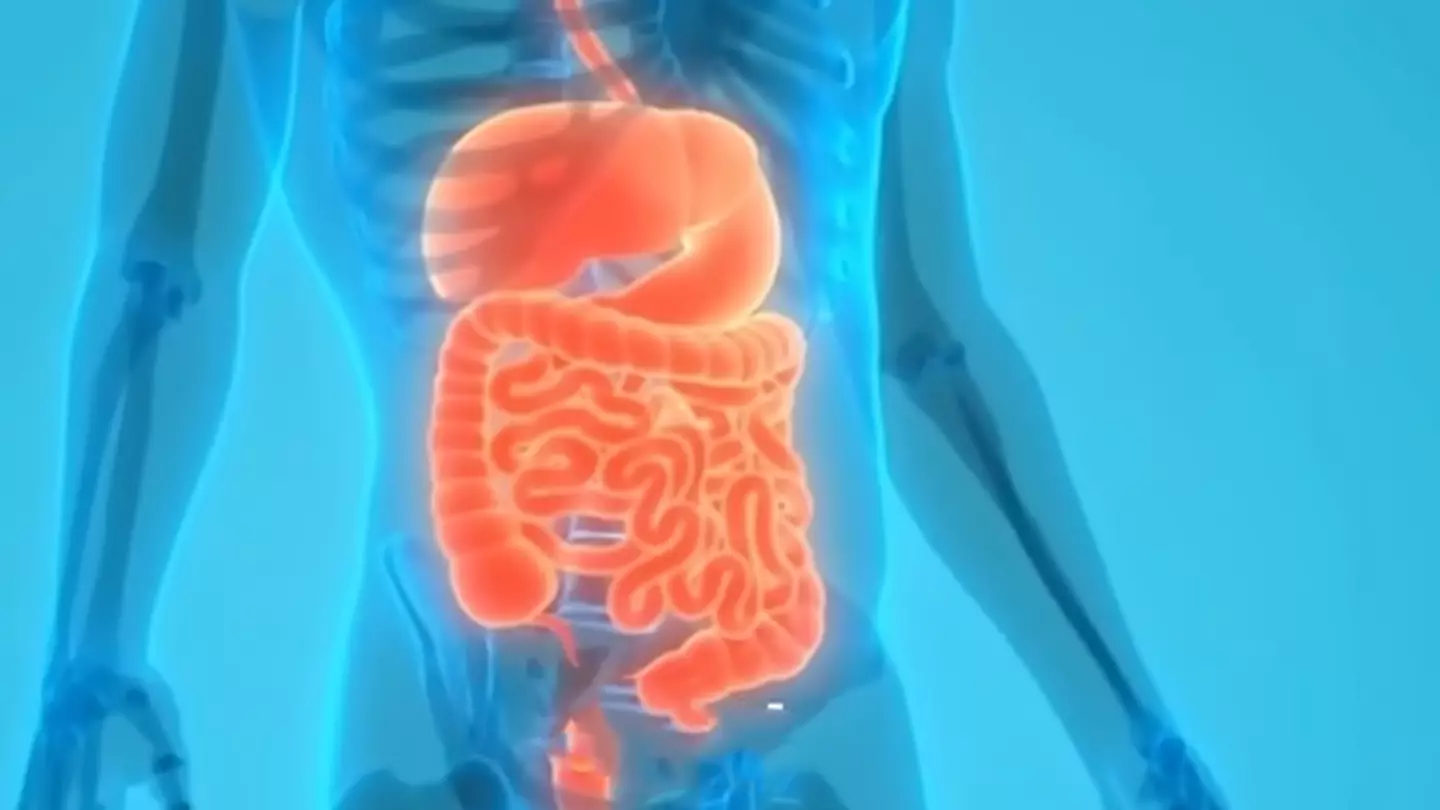 Insane simulation shows what happens to your body when fasting for 36 hours to achieve ‘deep body cleanse’