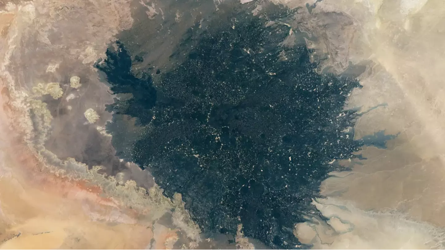 NASA images show ancient volcanic field in middle of Sahara Desert from space