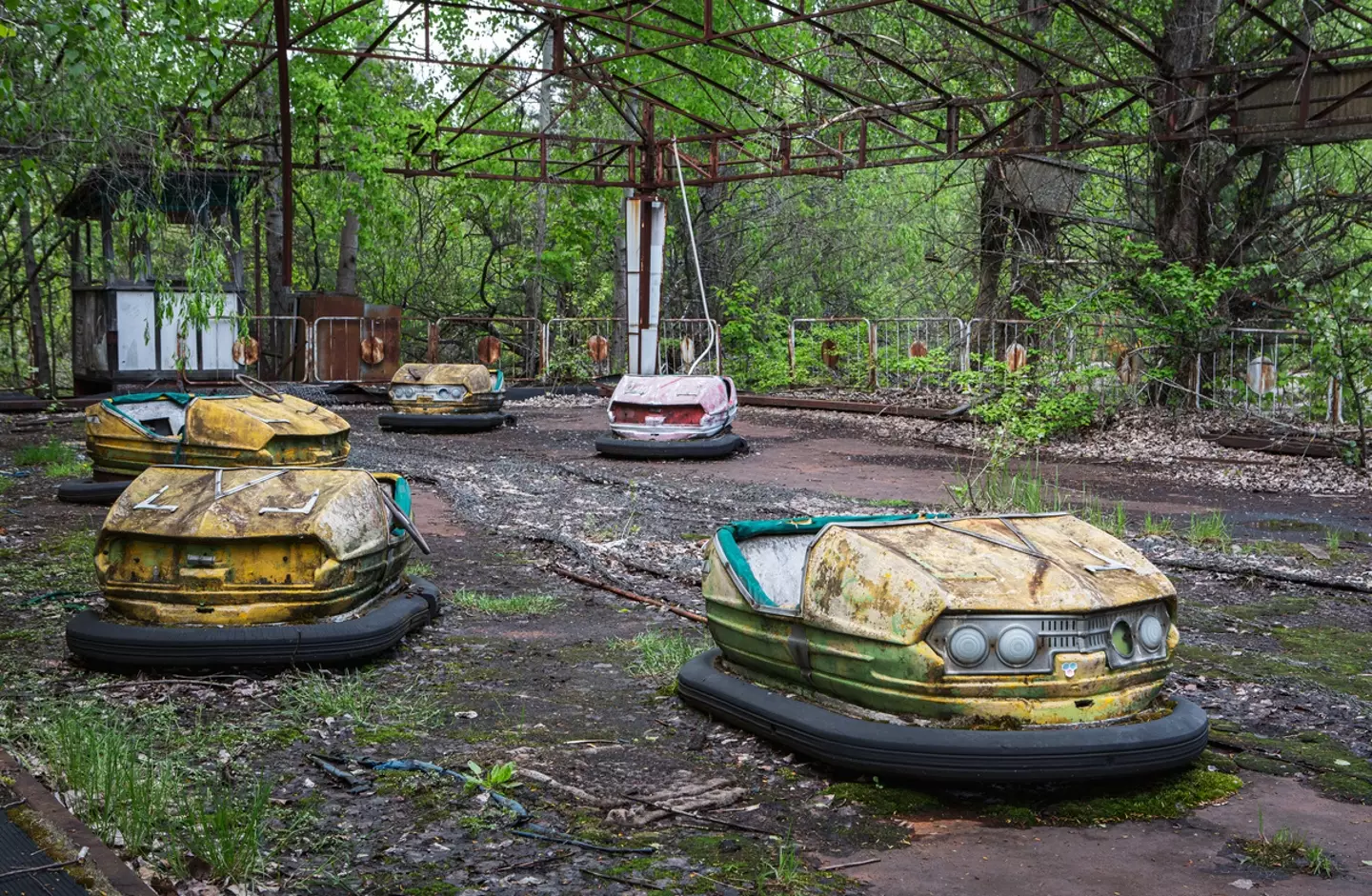 The never-used bumper cars.