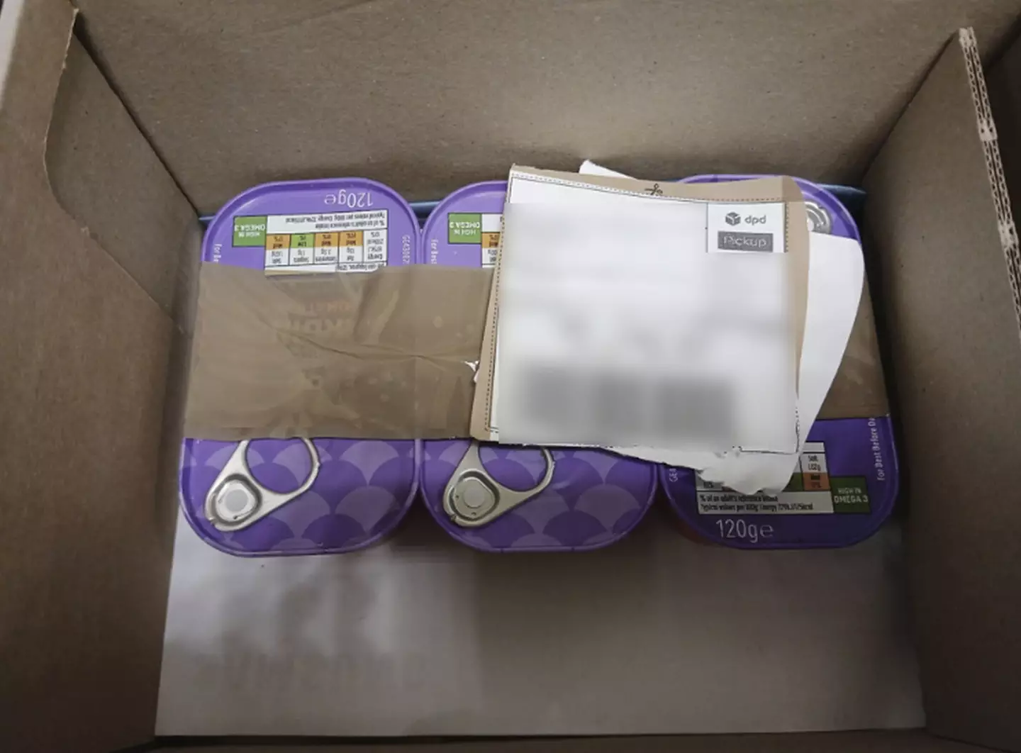 There's something fishy about this. (Kennedy News and Media)