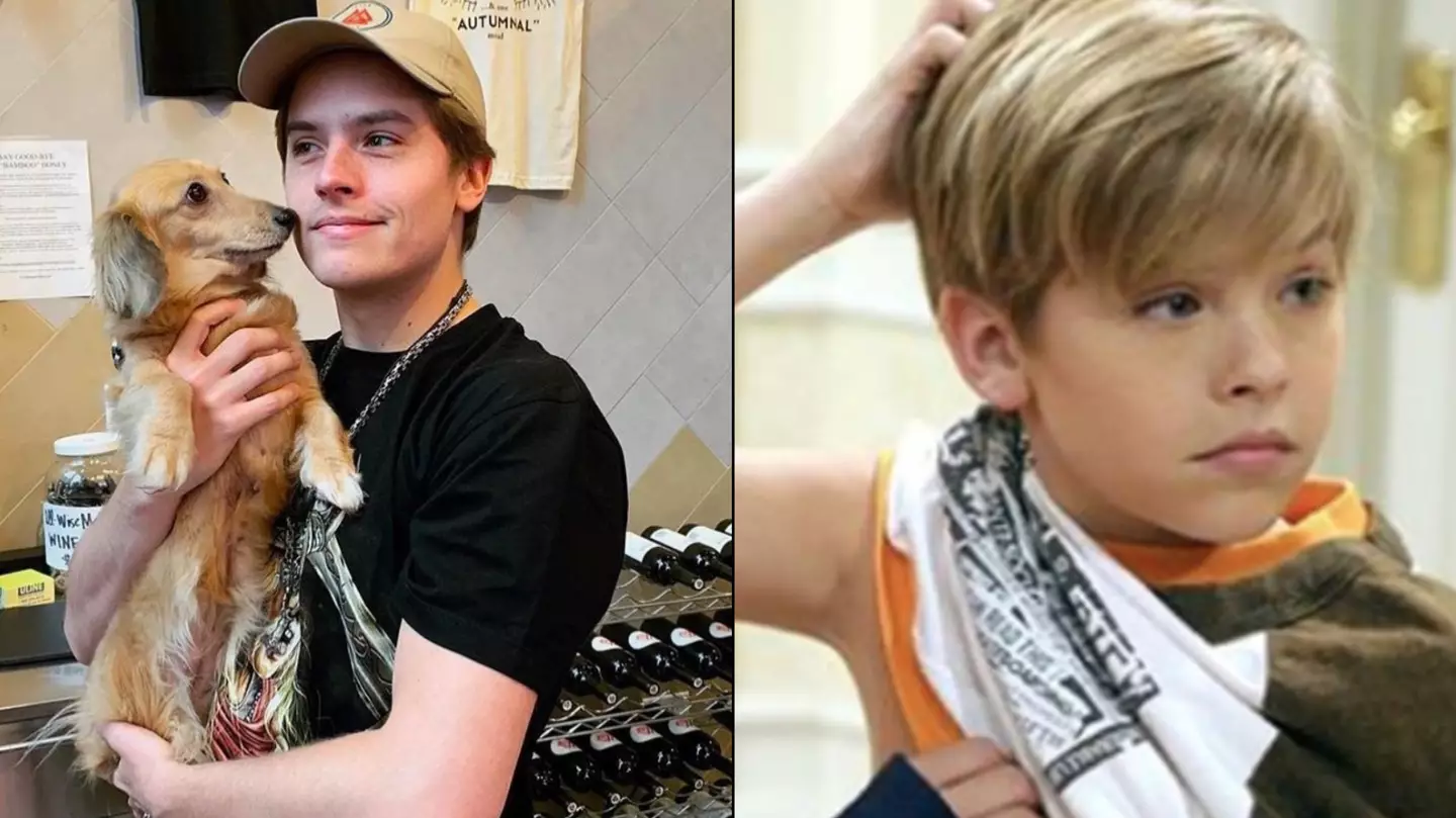 Suite Life's Dylan Sprouse Has Got A New Job Away From Acting