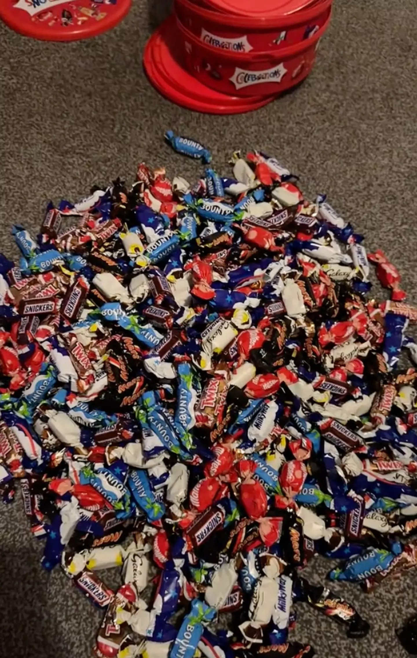 The TikToker poured all the treats into a pile before sorting them.