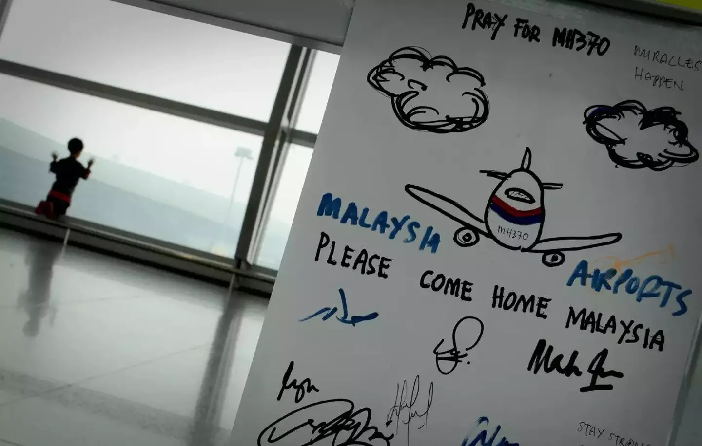 MH370 went missing in 2014.