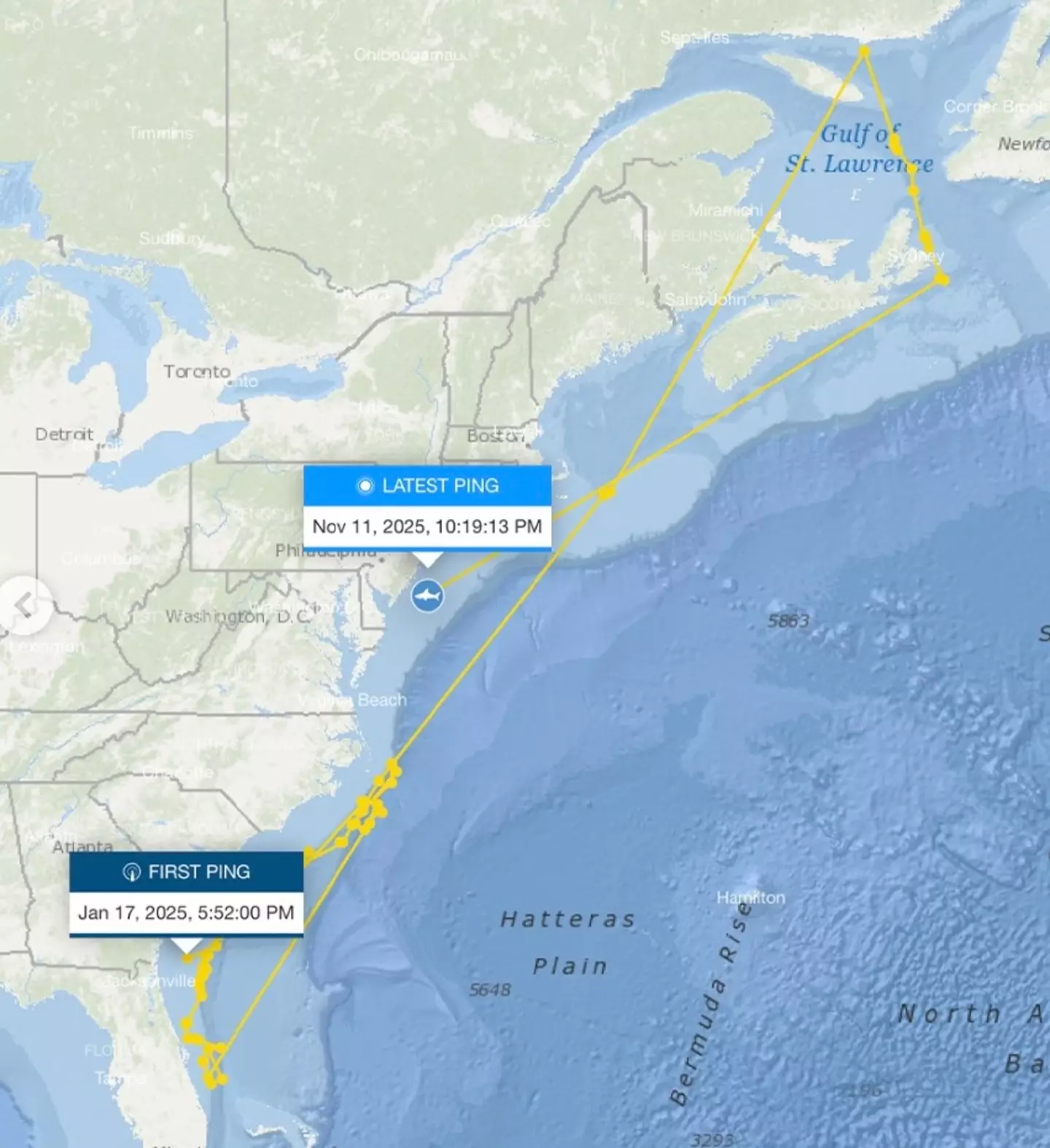 His latest ping is another clue which could help researchers piece together a longstanding marine mystery (Instagram/@ocearch)