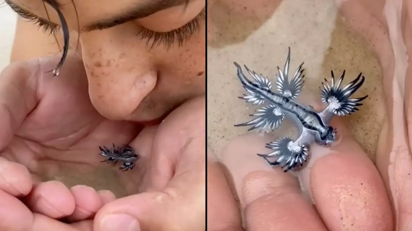 Guy Gives One Of World’s Rarest Creatures ‘Kiss Of Death’