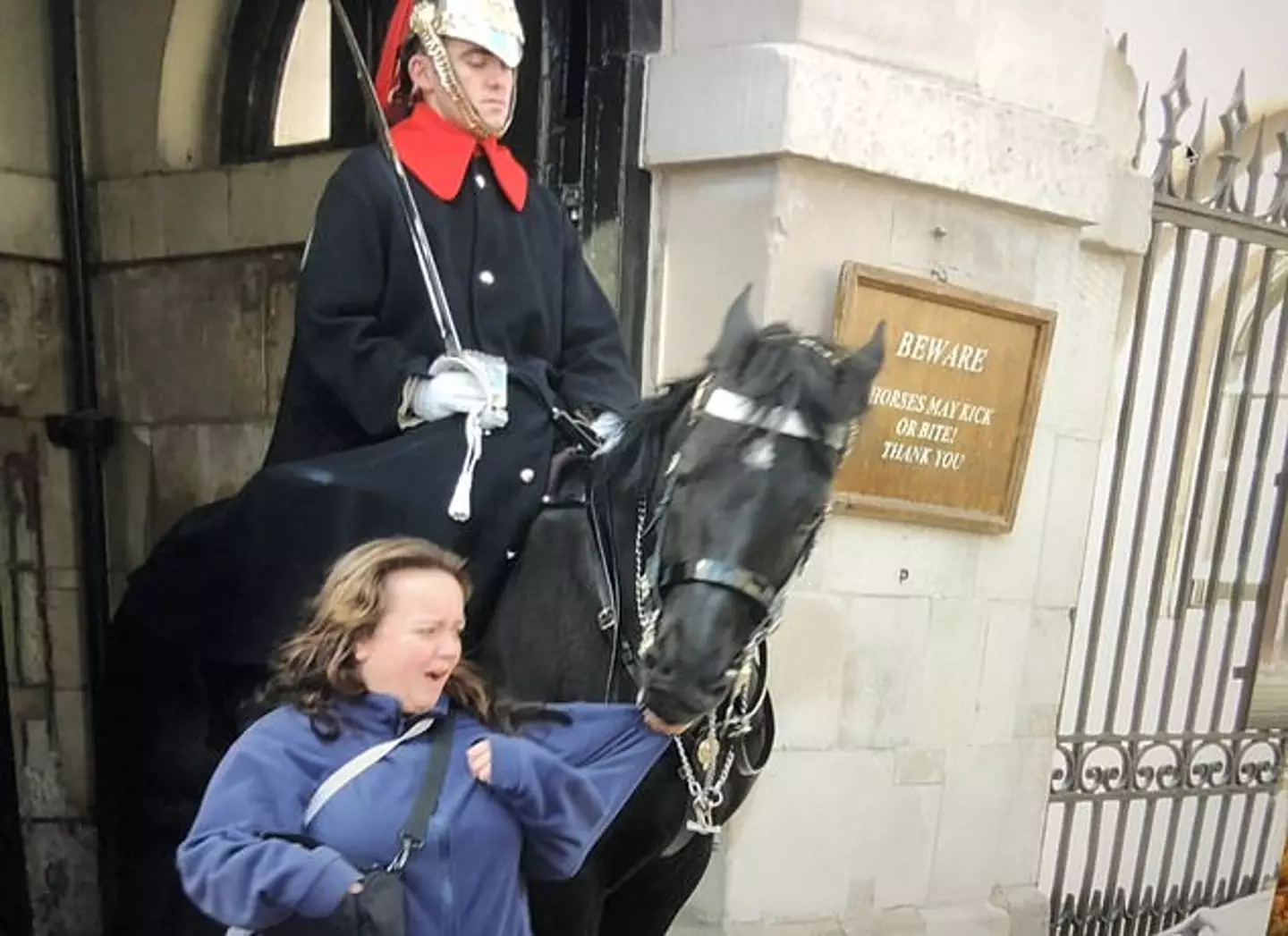 The King's Guard horse with a mouthful of jumper.