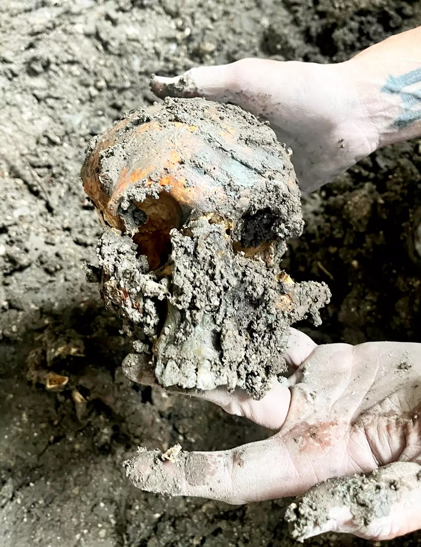 They didn't expect to find 83 dead bodies under the floorboards (SWNS)