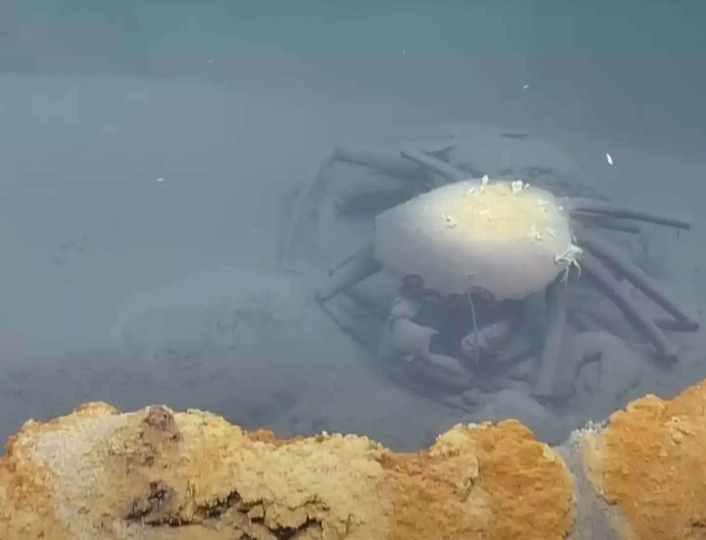Never should have come here (YouTube/EVNautilus)