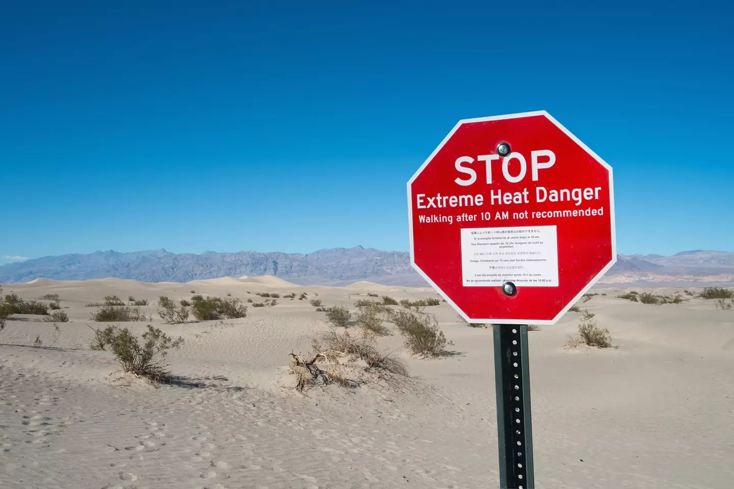 The US National Park Service has a list of guidance to follow should you find yourself stuck (Getty Stock Images)