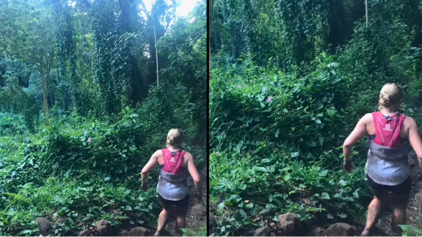 Runner spots disturbing detail in unsuspecting image of her in forest