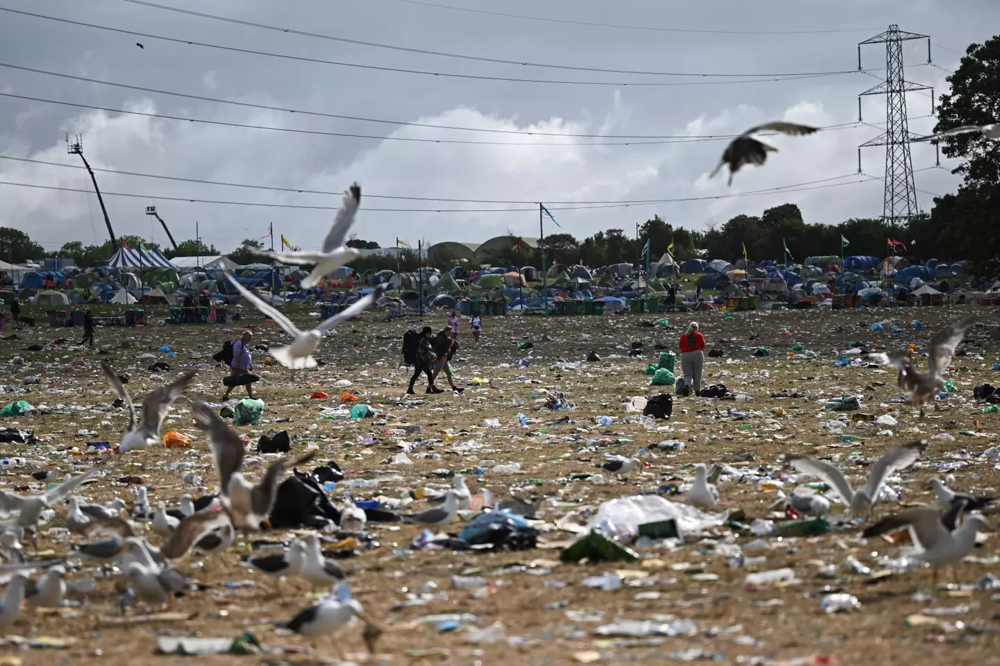 Next summer thousands of people are going to head for Glastonbury.