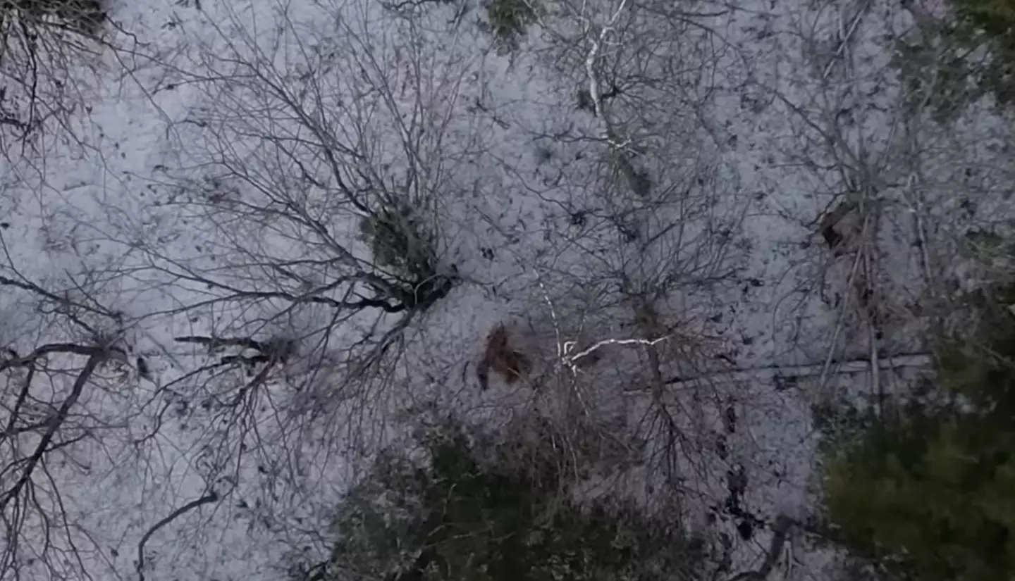 Ken acted shocked after the sighting.