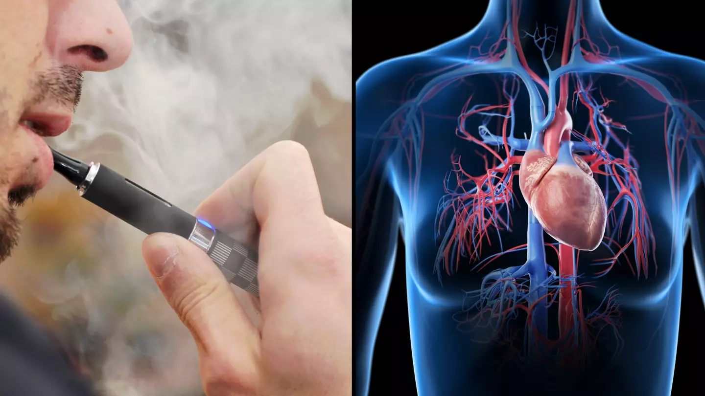 All the parts of your body that are affected when you vape