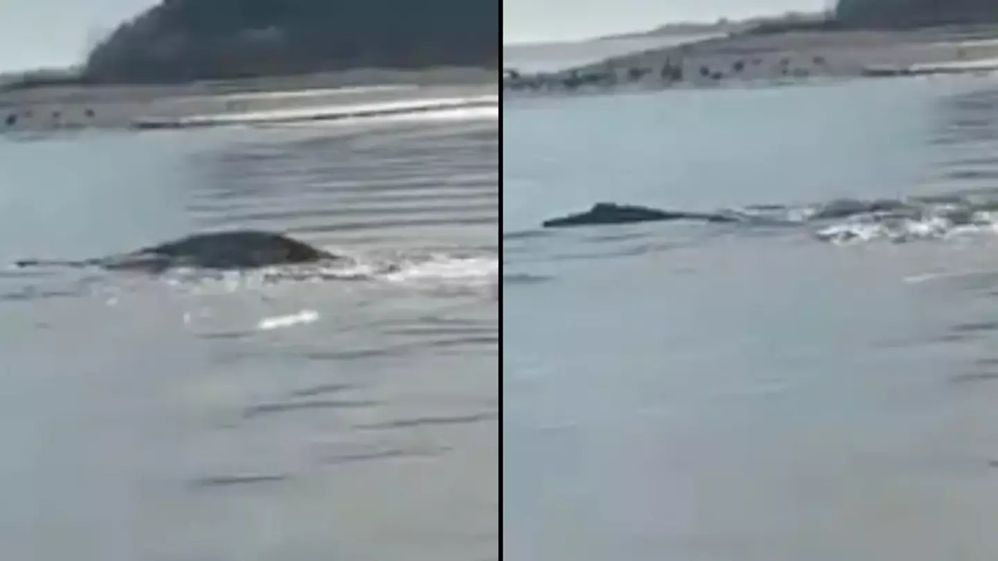 Footage has people wondering if Loch Ness Monster has left Scotland