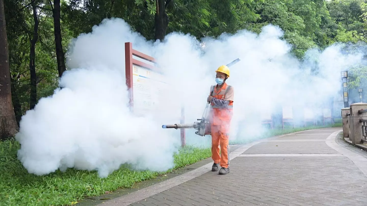 Mosquitoes that carry Chikungunya virus which forced China into 'pandemic measures' found in UK