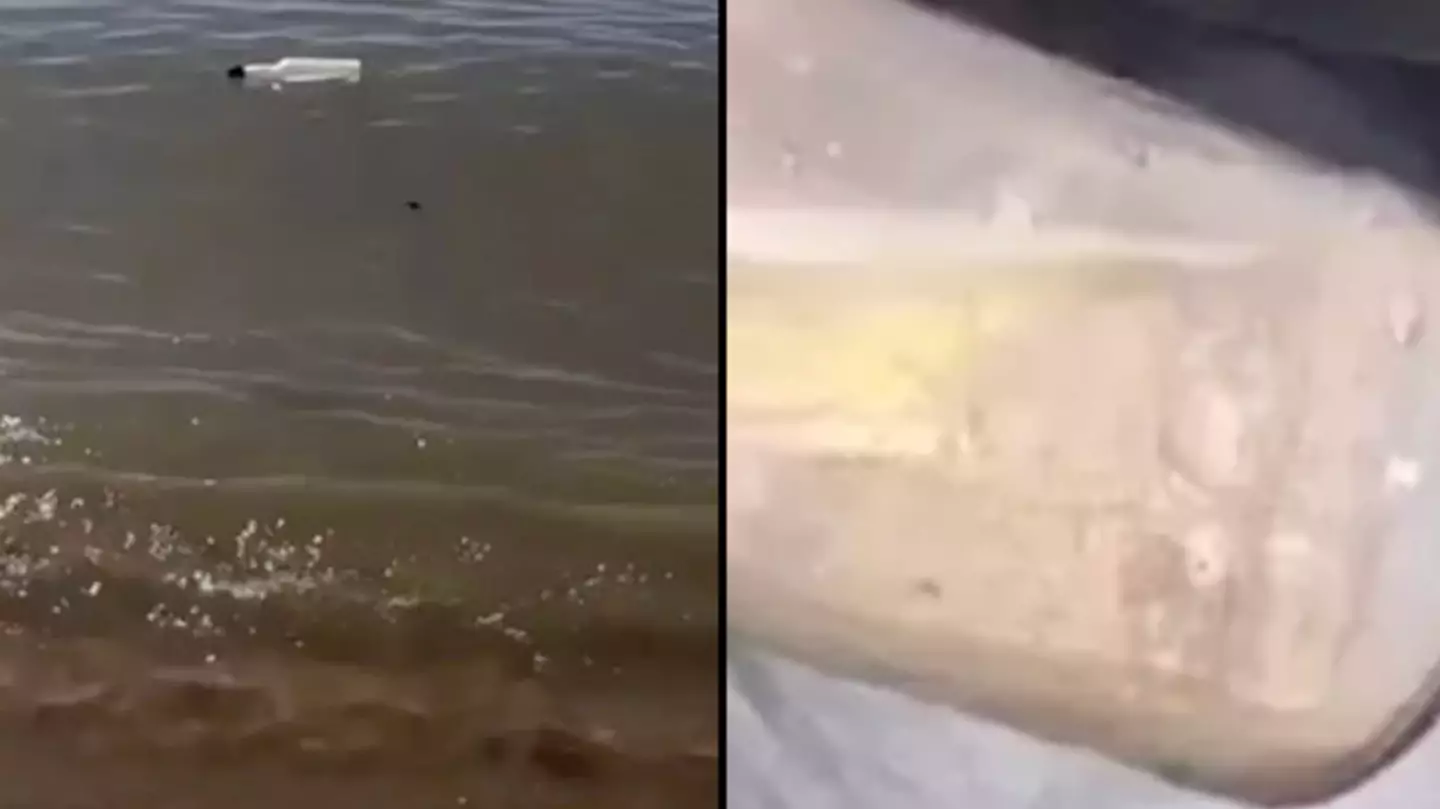 auslapourway/TikTok