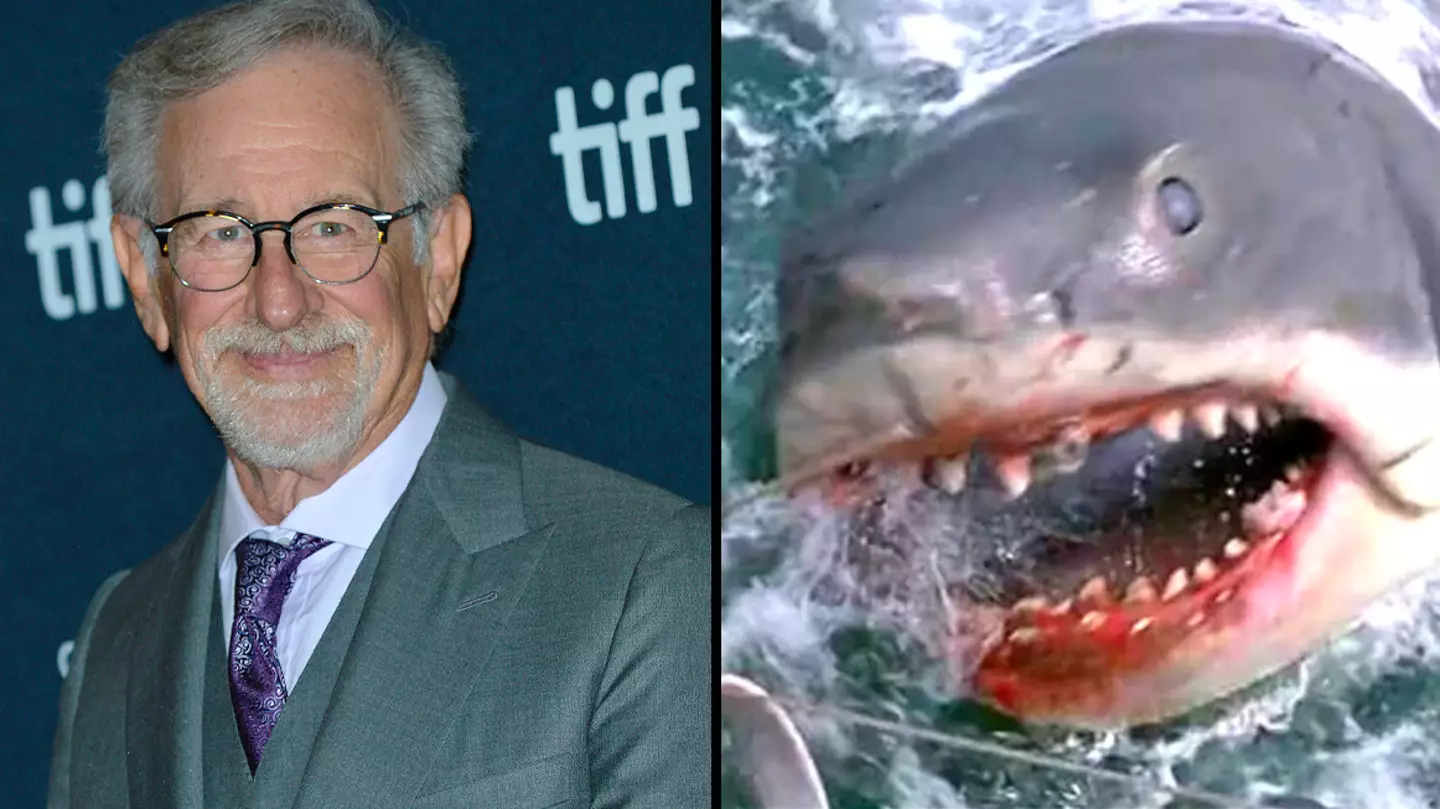 Steven Spielberg admits he’s afraid sharks may be ‘mad at him’ after success of Jaws