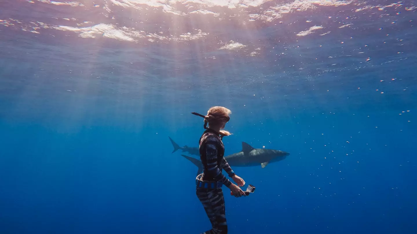 Ocean Ramsey schwimmt seit ihrem achten Lebensjahr mit Haien (Juan Oliphant)