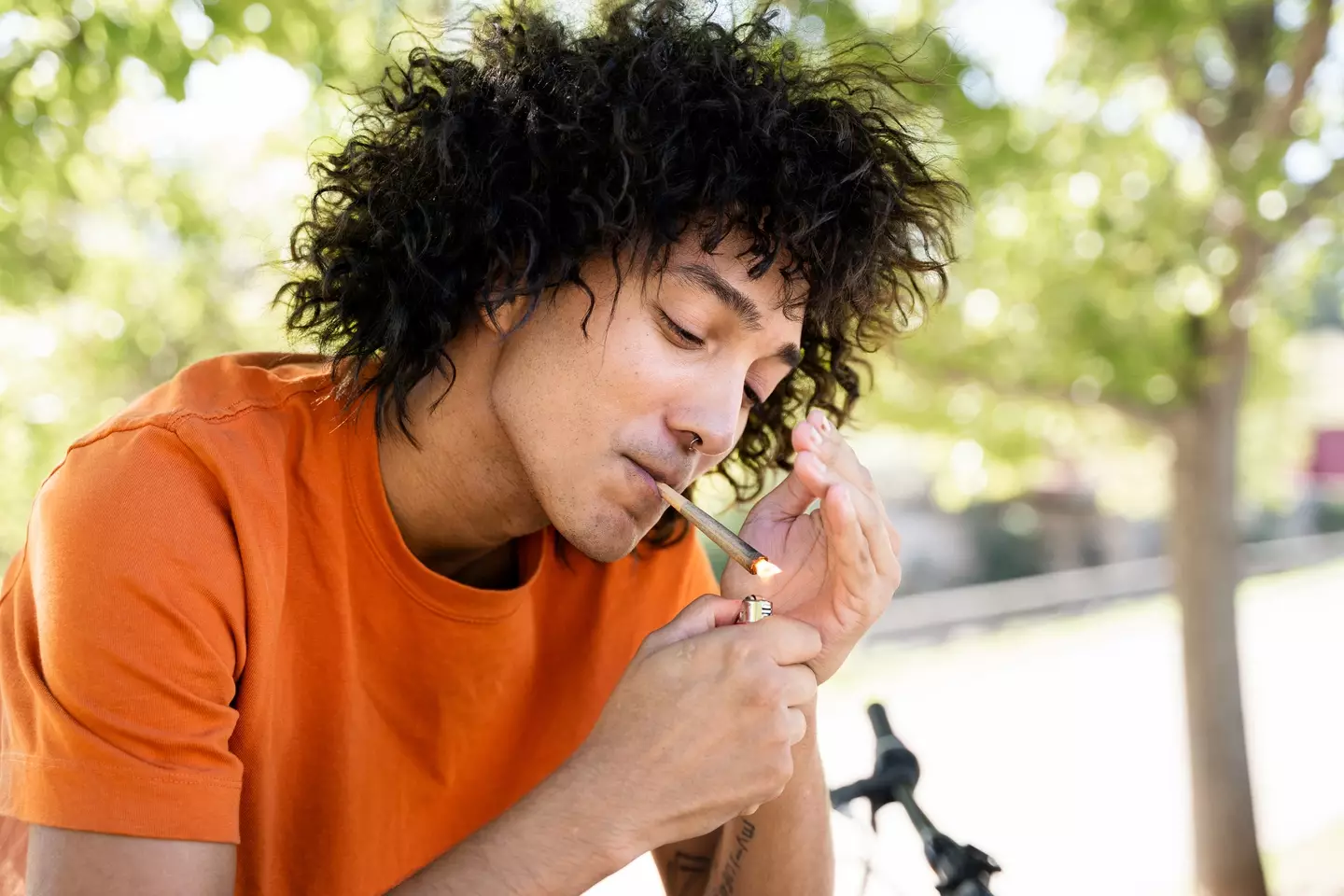 6.8 percent of people between the ages of 16 and 59 smoked weed in the UK in 2024 (Getty Stock Images)