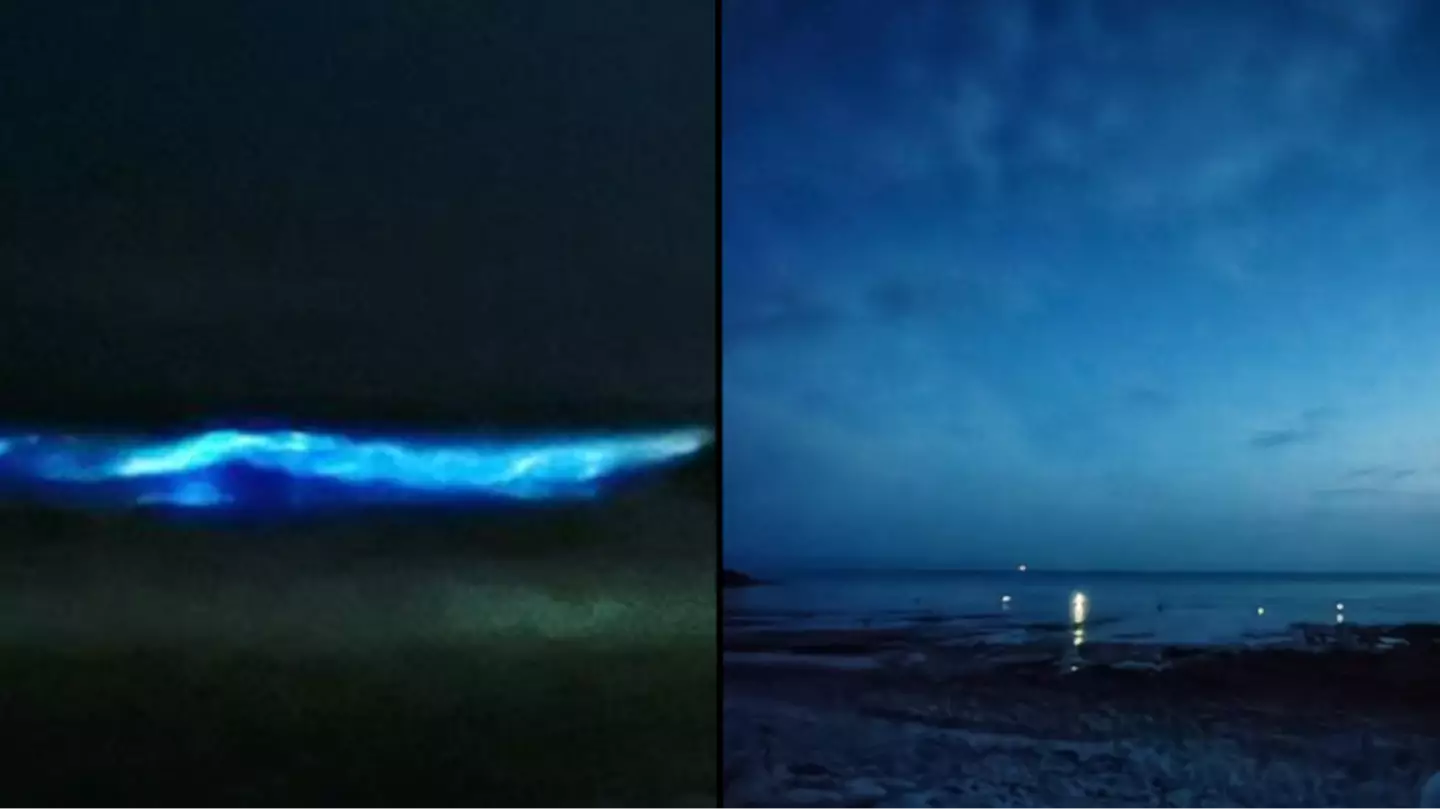 Brits stunned as UK beaches glow in the dark at night