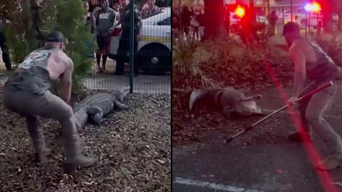 Bluecollar_brawler/@Instagram