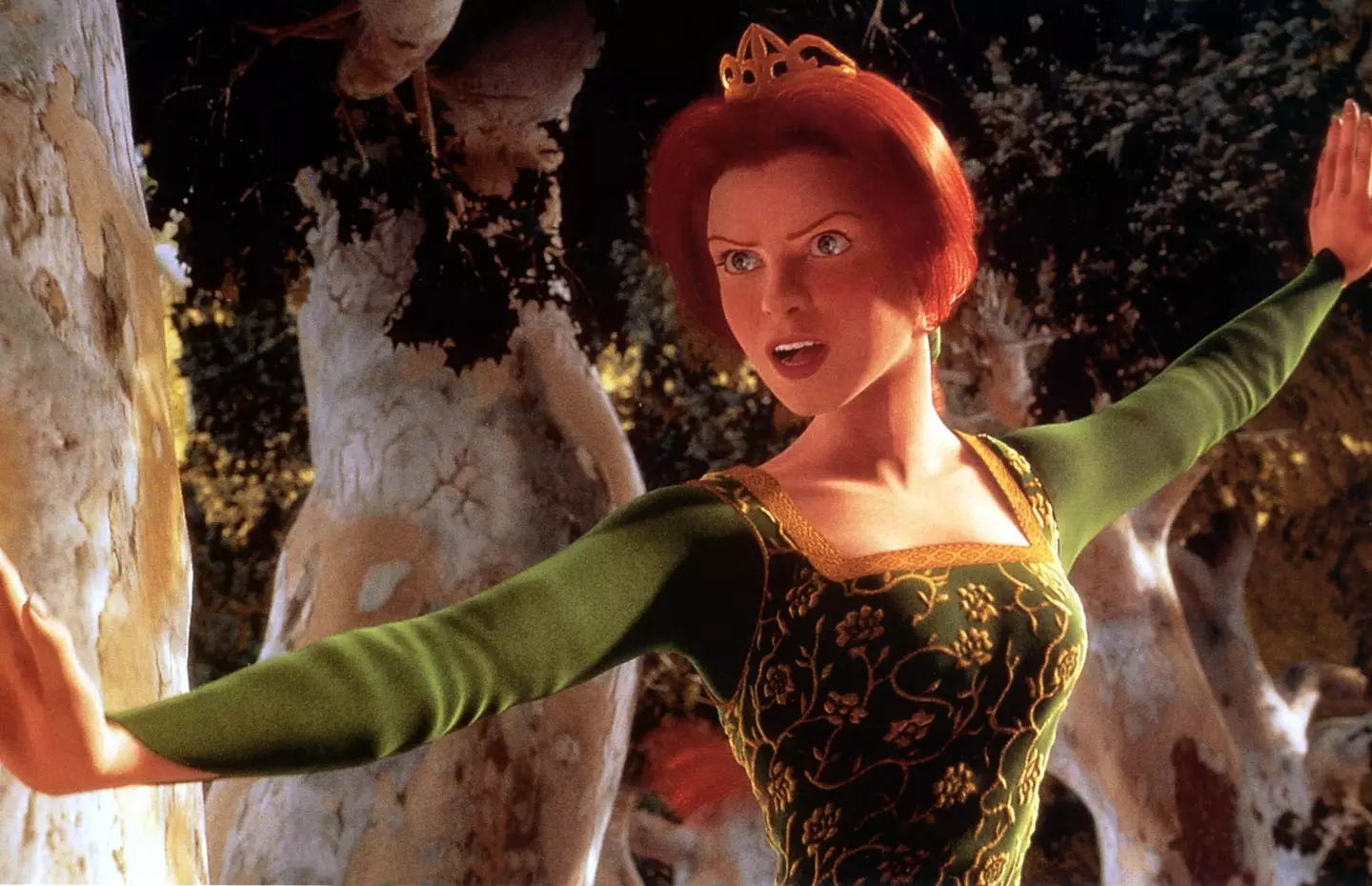Princess Fiona in Shrek.