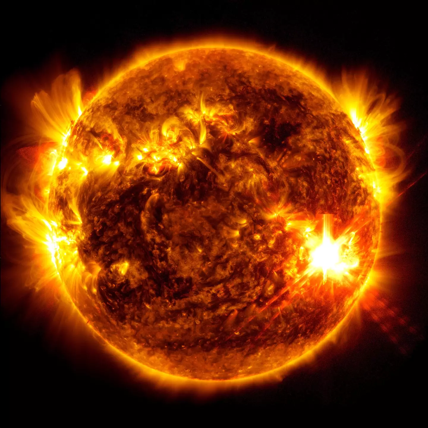 A new solar flare has erupted on the Sun. (NASA/SDO)