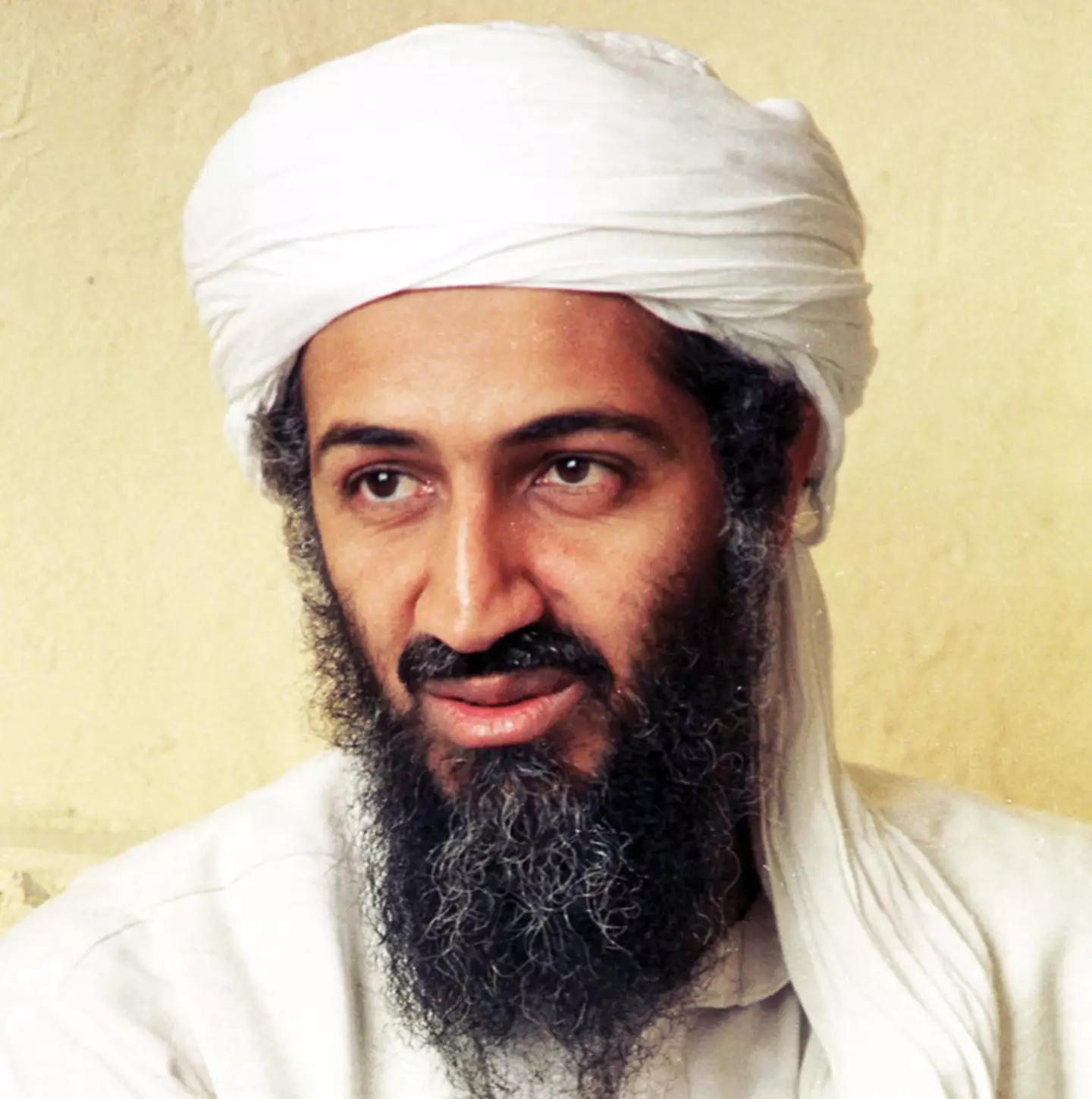 Osama bin Laden was shot dead on May 2, 2011.