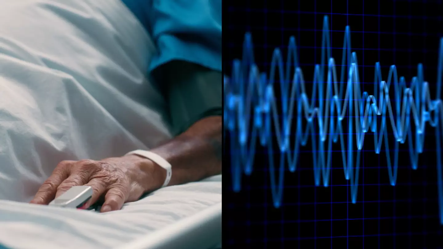 New research explains what people experience when they die as 'something that makes no sense' occurs