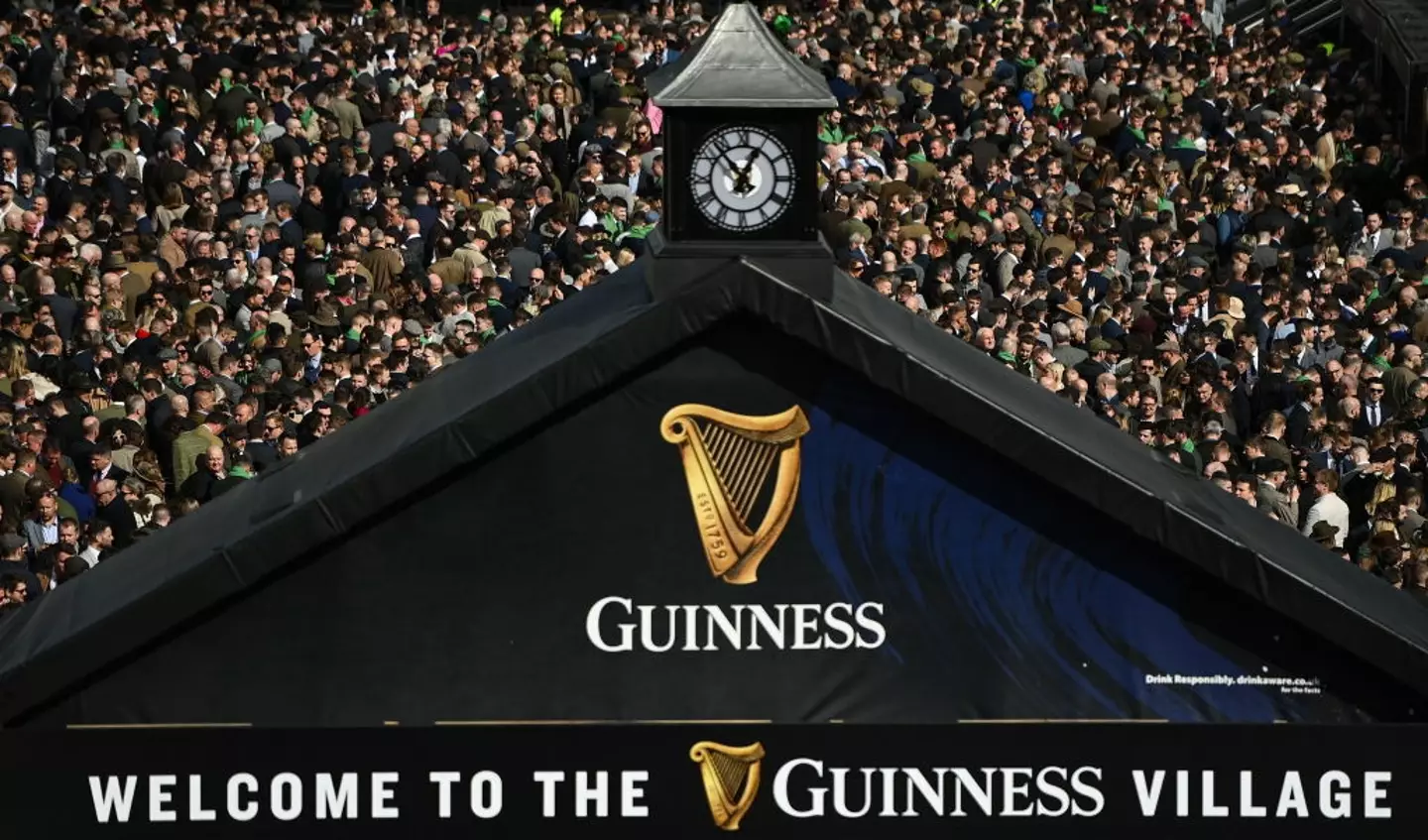 Guinness is almost £8 at Cheltenham (Seb Daly/Sportsfile via Getty Images)