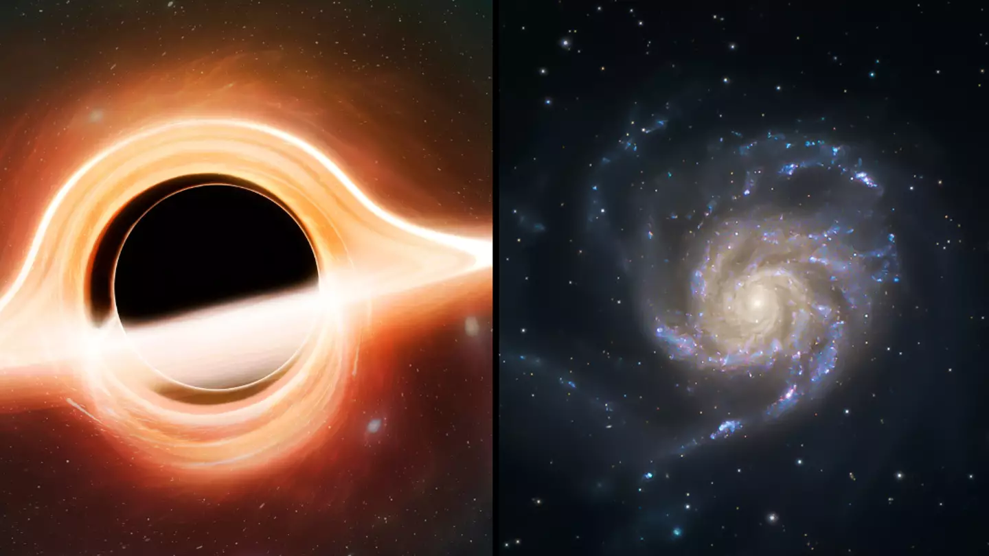 Black hole that's 33 times bigger than the Sun found 'lurking undetected' close to Earth