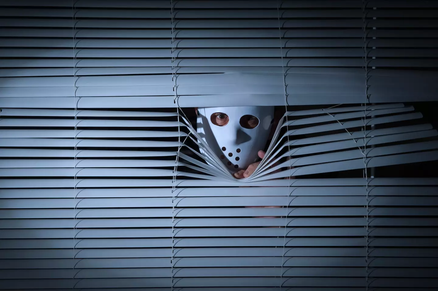 "Darling, I think the neighbour might be a psychopath. No, he'll never know it's me peeping, I've popped my hockey mask on."