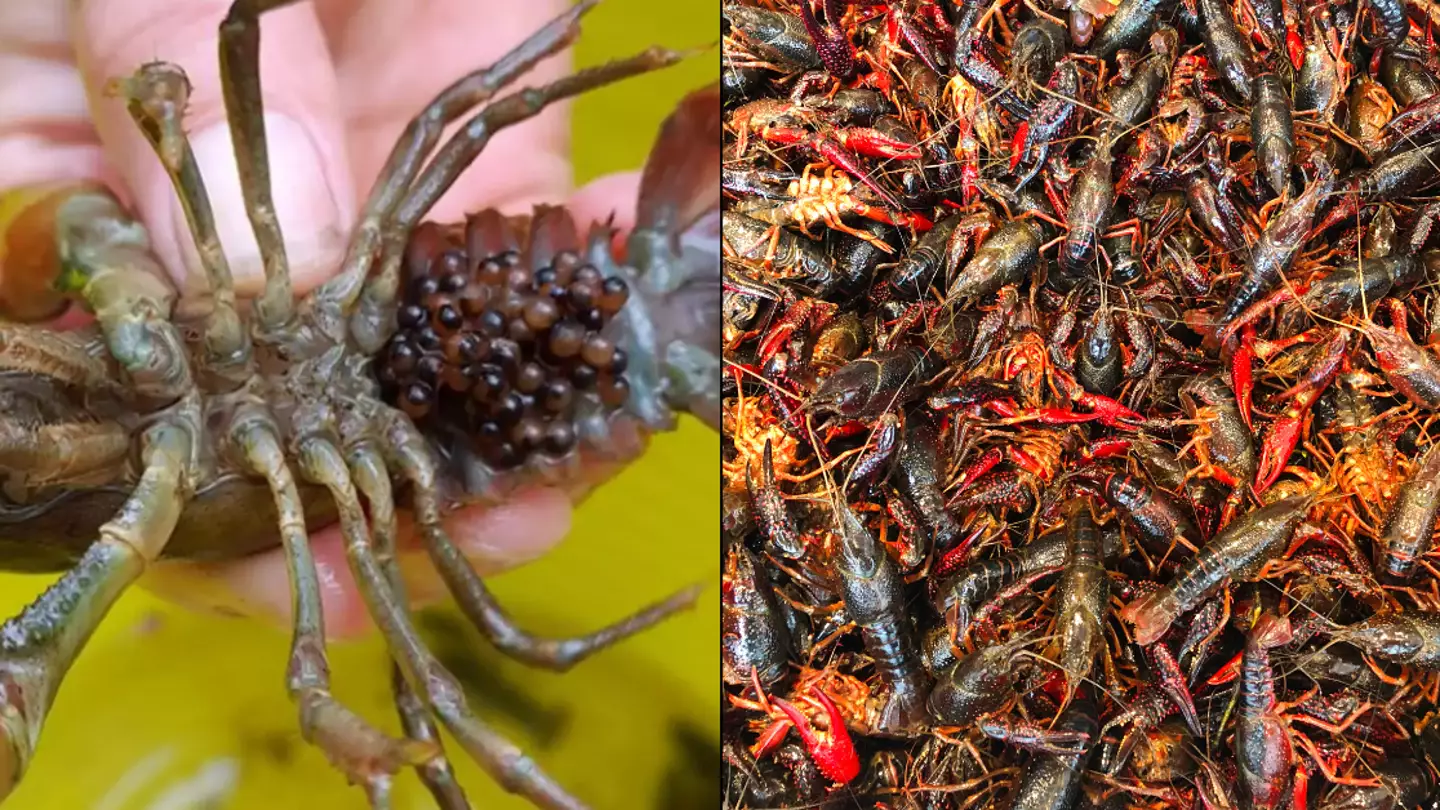 NWWT / Getty Stock Images