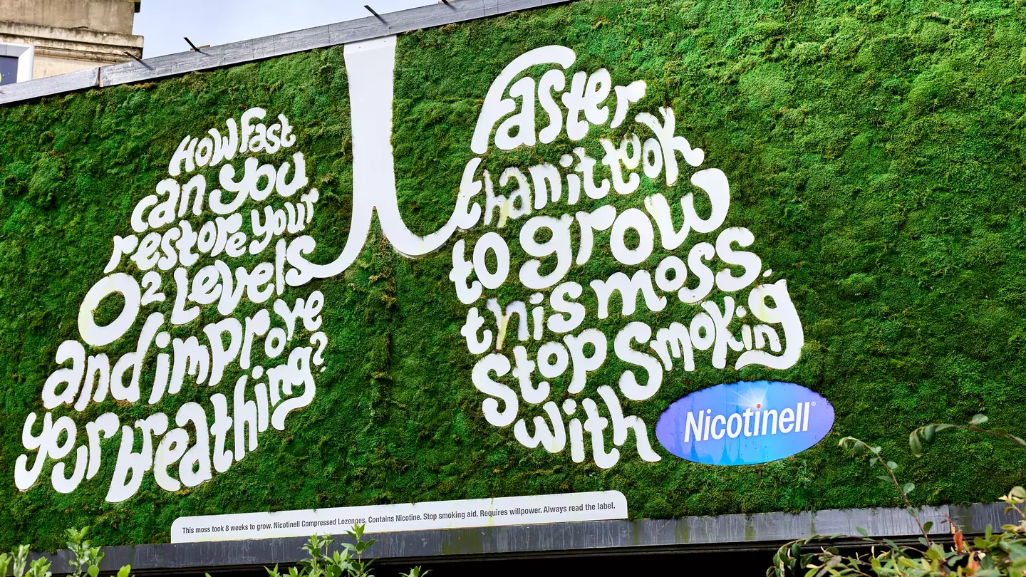 Nicotinell moss billboard shows how quickly your lung function improves after quitting smoking