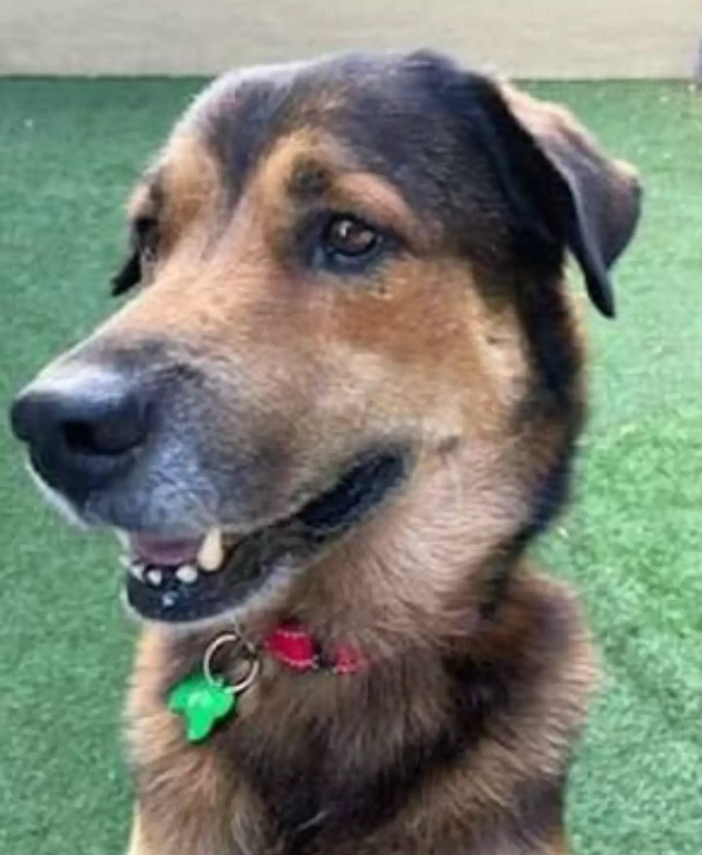 Salvatore took time to settle.