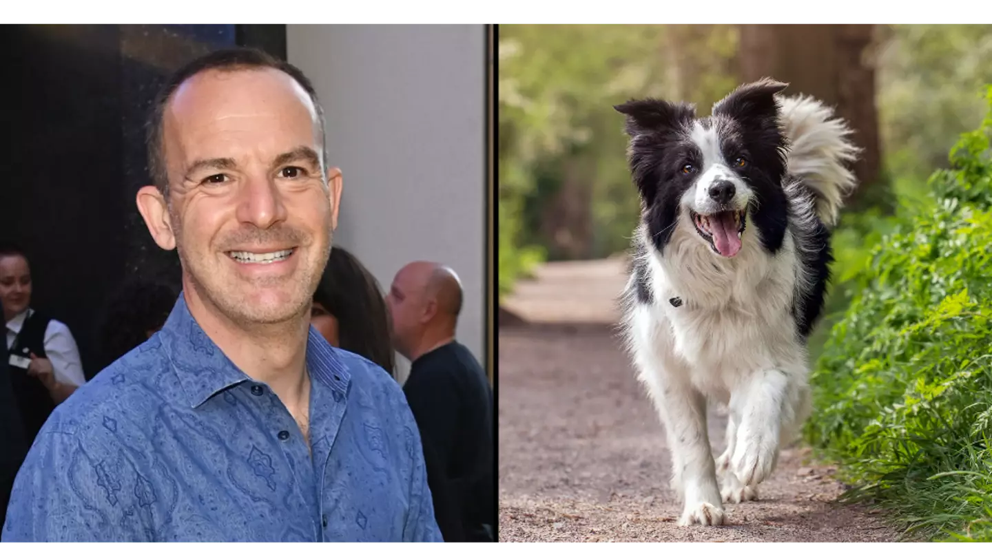 Martin Lewis issues urgent warning to all dog owners in the UK