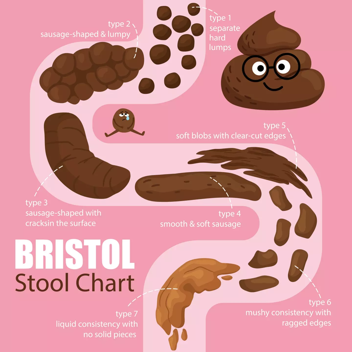 This chart is very handy so you can see what your poo needs to look like. (Getty Stock Images)