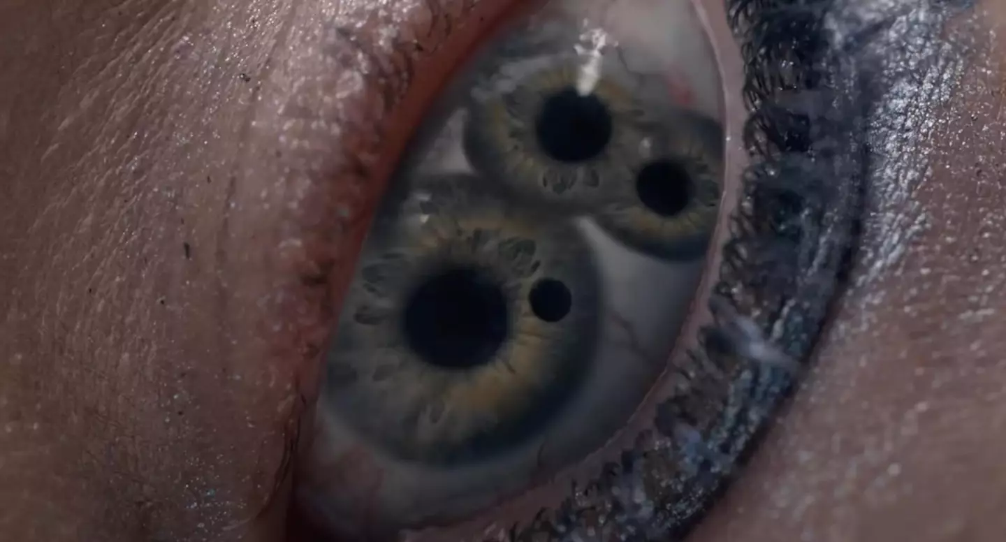 The film has been a hit with fans and has received critical acclaim (Mubi)