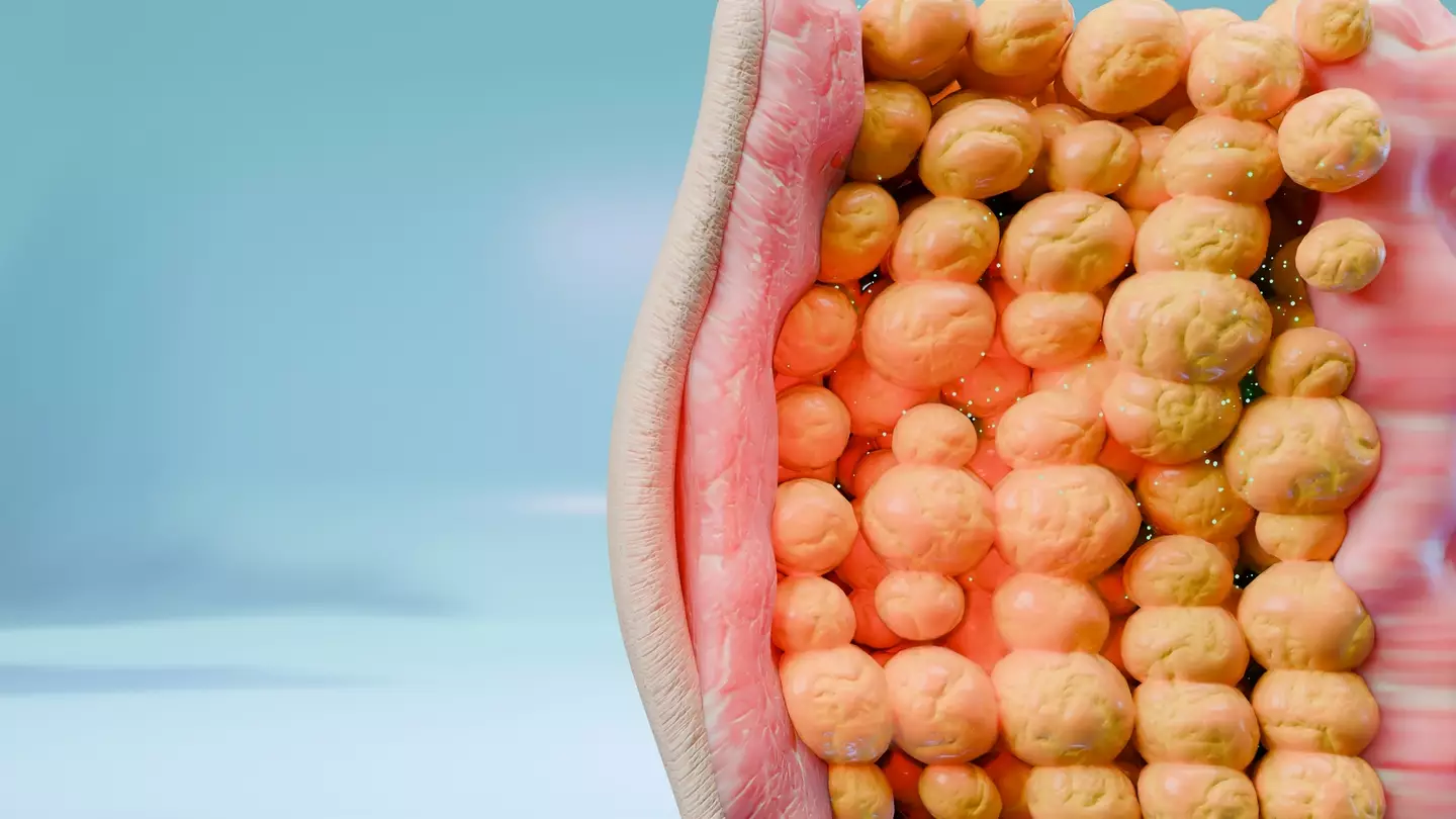 Many people try fasting as a way of making their body switch over to burning fat (Getty Stock Image)