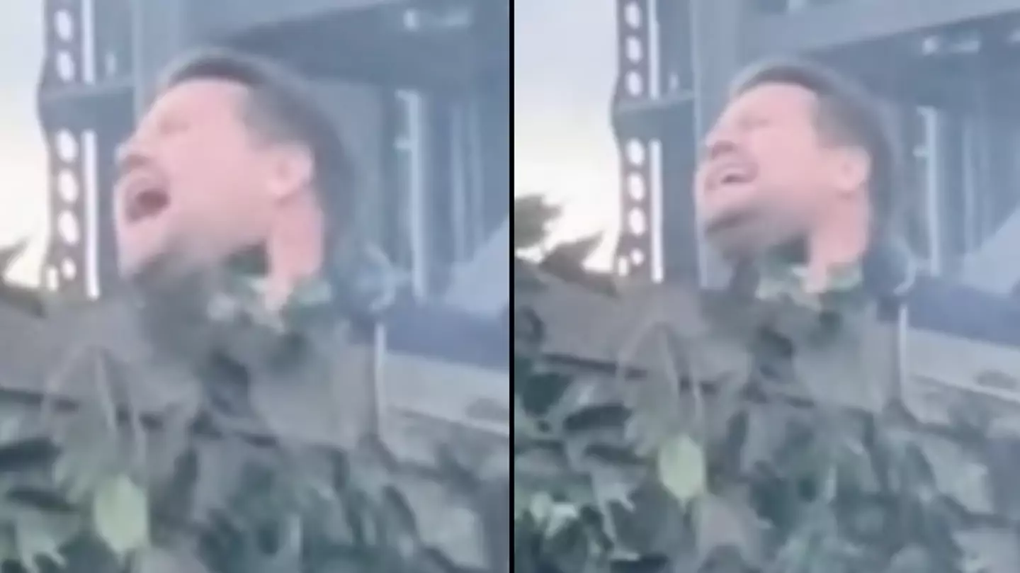 James Corden Spotted Absolutely Belting Out Adele As He Watches Her Hyde Park Gig