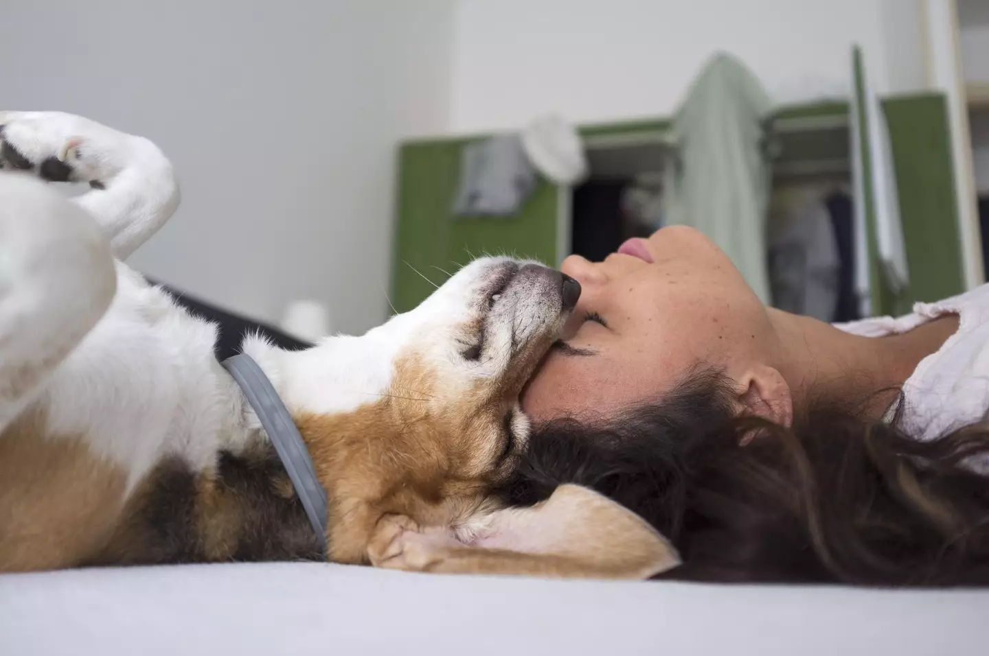 Michael Gove is set to give landlords the power to request insurance to cover any potential damage caused by pets.