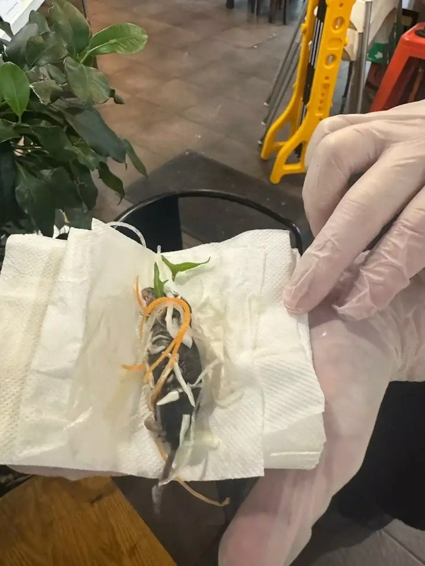 (Daniel Kim / Google Reviews)