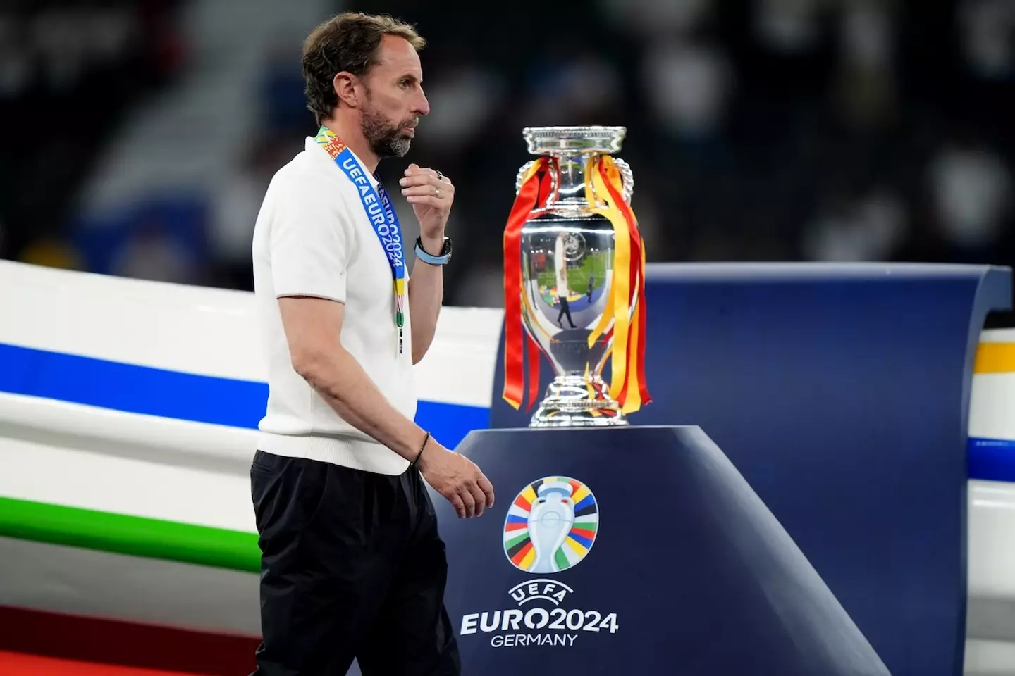 England narrowly missed out on the Euro 2024 trophy in a 2-1 loss (PA)